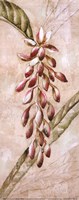 Tropical Orchid IV by Ruth Franks - 8" x 20"