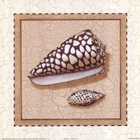 Seashells I Fine Art Print