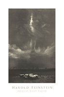 Sheep Under Cloud Fine Art Print