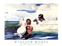 Turtle Pound Fine Art Print