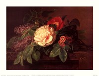 Peonies, Lilacs & Primulae Fine Art Print