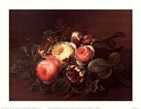 Roses & Honeysuckle on a Ledge Fine Art Print