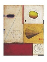 Natural Order III Fine Art Print