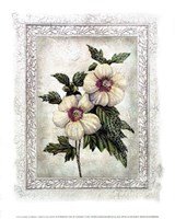 Flowers of Spring I Fine Art Print