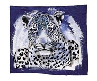 Young Leopard Fine Art Print