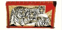 Tiger Trio Fine Art Print