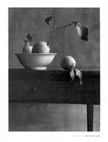 Cote Sud Fine Art Print