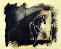 Awaiting the Performance Fine Art Print