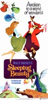 Sleeping Beauty Awaken to a World of Wonders Wall Poster