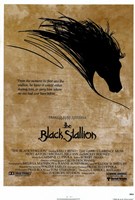 Black Stallion - 11" x 17"