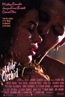 Wild Orchid Wall Poster