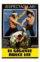 The Clones of Bruce Lee Wall Poster