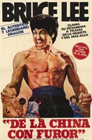 Fists of Fury Spanish Wall Poster