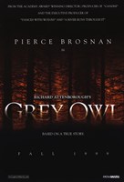 Grey Owl - 11" x 17"