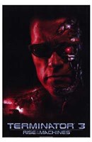 Terminator 3: Rise of the Machines Arnold Schwarzeneger Wall Poster