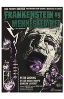 Evil of Frankenstein Wall Poster