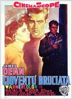 Rebel Without a Cause with a Gun Wall Poster