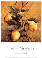 Lemon Branch by Linda Thompson - 12" x 16" - $10.49