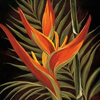 Birds of Paradise I Fine Art Print