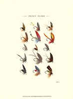 Trout Flies I Fine Art Print