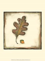 Fall Color I Fine Art Print