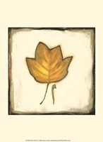 Fall Color IV Fine Art Print