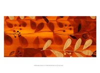 Sun Kissed Silhouette VI Fine Art Print