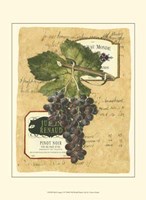 Small Red Grapes I Fine Art Print