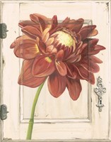 Dahlia Door by Megan Meagher - various sizes