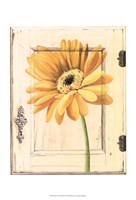Daisy Door Fine Art Print