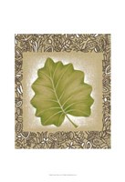 Exotic Palm Leaf I Fine Art Print