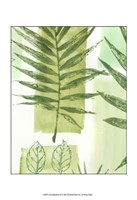 Leaf Impressions III Fine Art Print