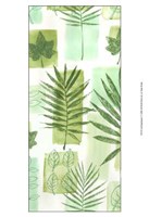 Leaf Impressions V Fine Art Print