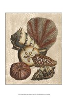 Crackled Shell and Coral Collection on Cream II Fine Art Print