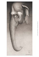 Toni, the Elephant by Robert L. Caldwell - 13" x 19"