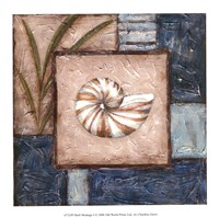 Shell Montage I Fine Art Print