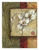 Asian Orchids I Giclee