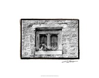 Window Flowers Giclee