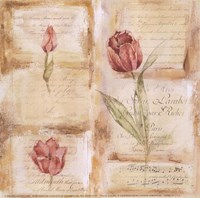 Rose Concerto III Fine Art Print