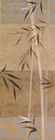 Spa Bamboo II Fine Art Print