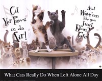 Cat Party Fine Art Print