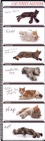 Cat Agenda Fine Art Print