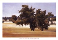 Montpellier Oak Fine Art Print