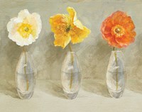 Poppy Palette Crop Fine Art Print