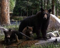 New Discoveries Fine Art Print