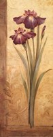 Grandiflora I - mini by Pamela Gladding - 8" x 20"