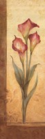 Grandiflora III by Pamela Gladding - 12" x 36"