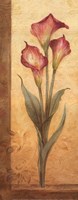 Grandiflora III - mini by Pamela Gladding - 8" x 20"