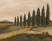 Shady Tuscan Road Fine Art Print