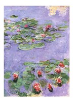 Water Lilies, c. 1914-1917 Fine Art Print